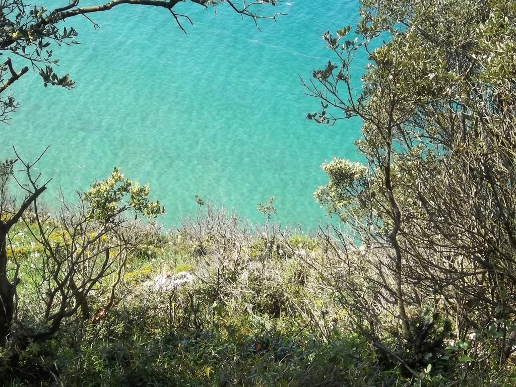 Posada El Trasmerano Argoños Dış mekan fotoğraf